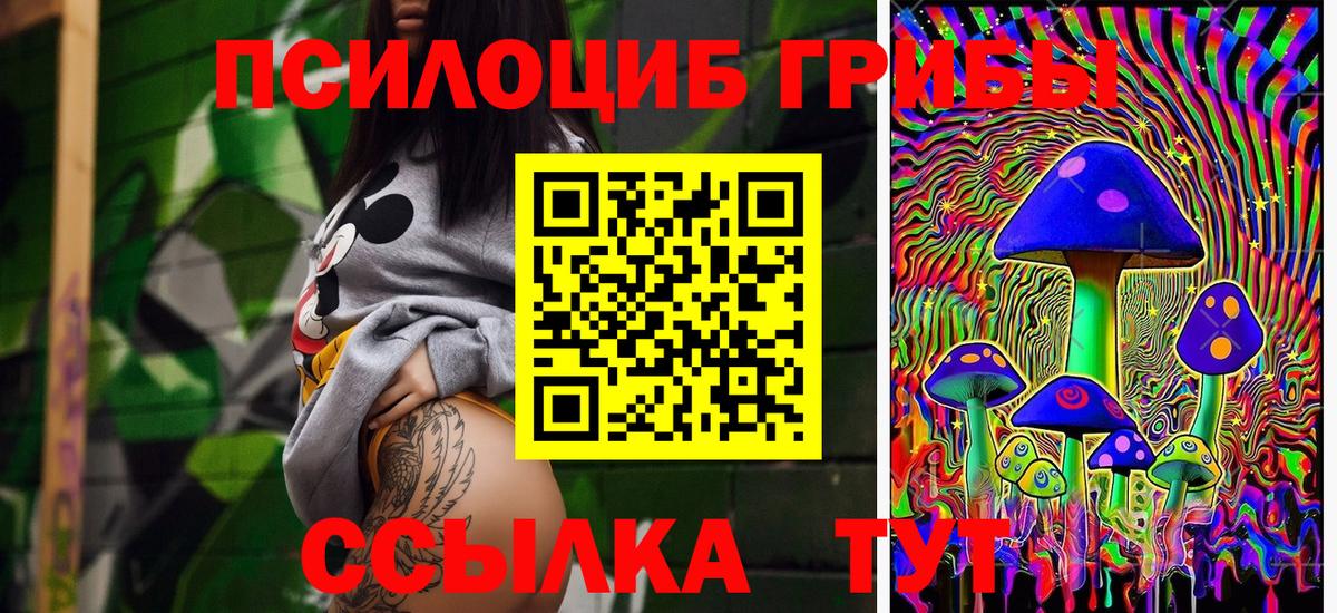 Котельники  Псилоцибиновые грибы GOLDEN TEACHER  Вход с VPN 