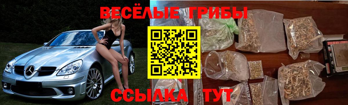 Псилоцибиновые грибы MAGIC MUSHROOMS Котельники